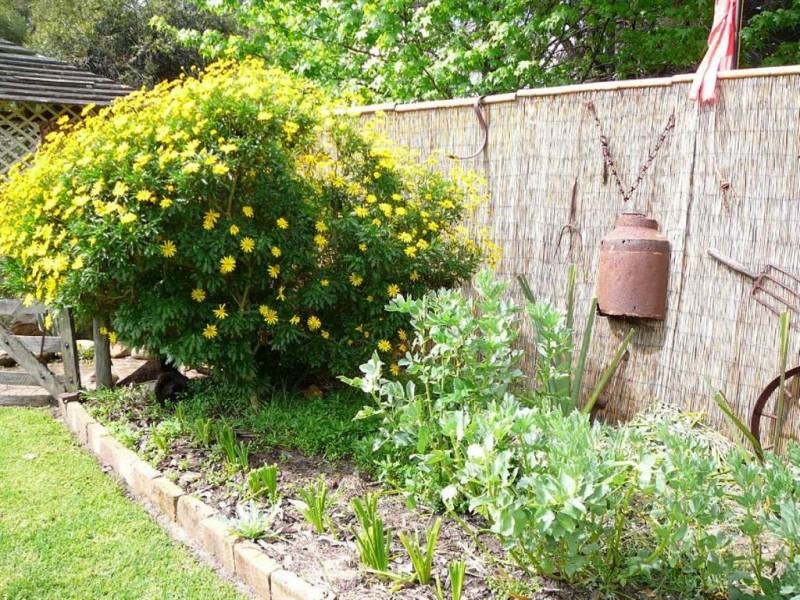 23 McAlinden Street, Bridgetown WA 6255