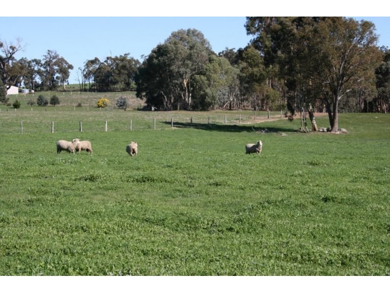 Lot 239 RIDGEVIEW AVENUE, Boyup Brook WA 6244