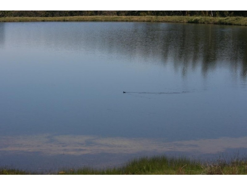 297 STIRLING STREET, Bridgetown WA 6255