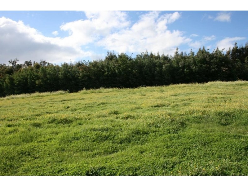 408 LAKEVIEW CRES, Bridgetown WA 6255