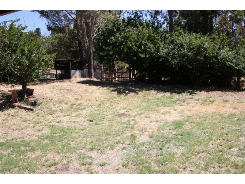 61 TELLURIDE STREET, Greenbushes WA 6254