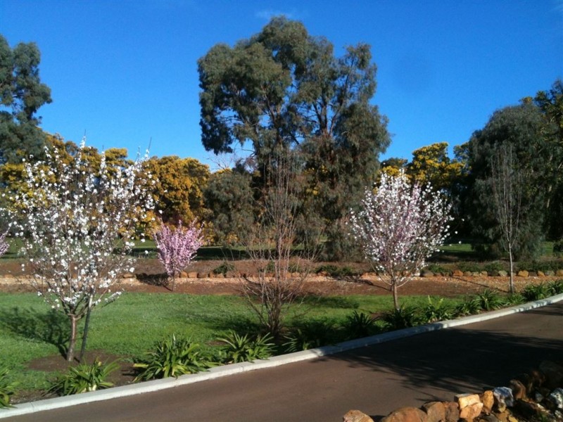 35 ROKEWOOD HEIGHTS, Bridgetown WA 6255