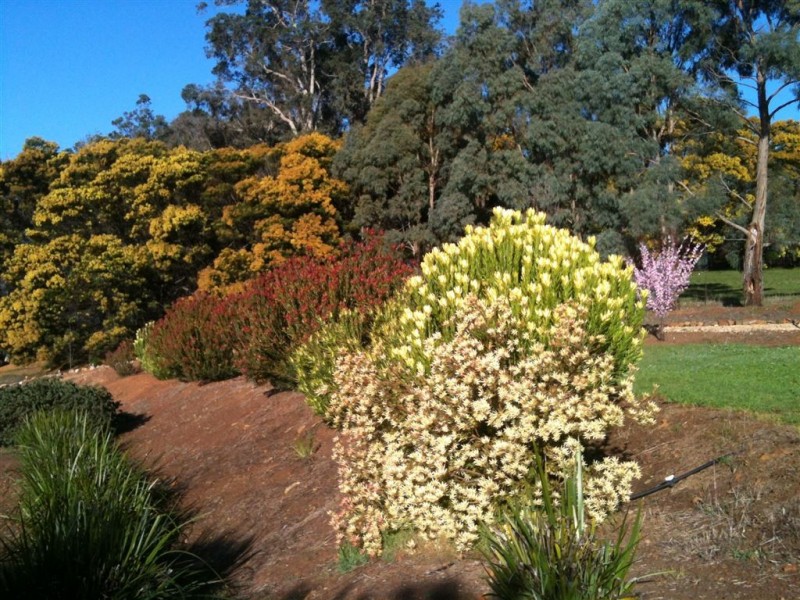 35 ROKEWOOD HEIGHTS, Bridgetown WA 6255