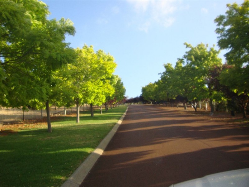 Lot 85 ROBINIA WAY, Bridgetown WA 6255