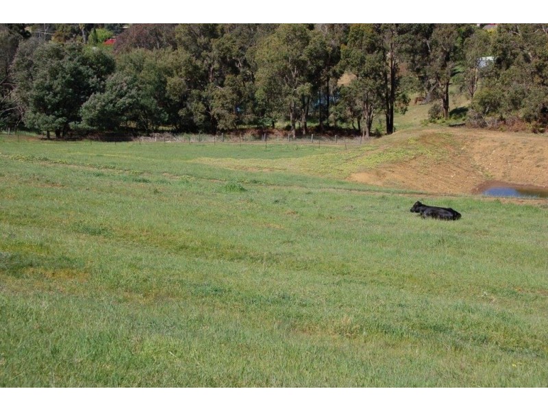 88 Nelson Street, Bridgetown WA 6255