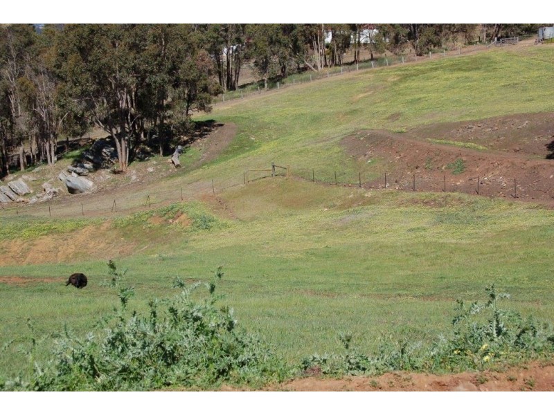 88 Nelson Street, Bridgetown WA 6255