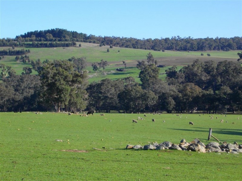 733 WINNEJUP RD, Mayanup WA 6244