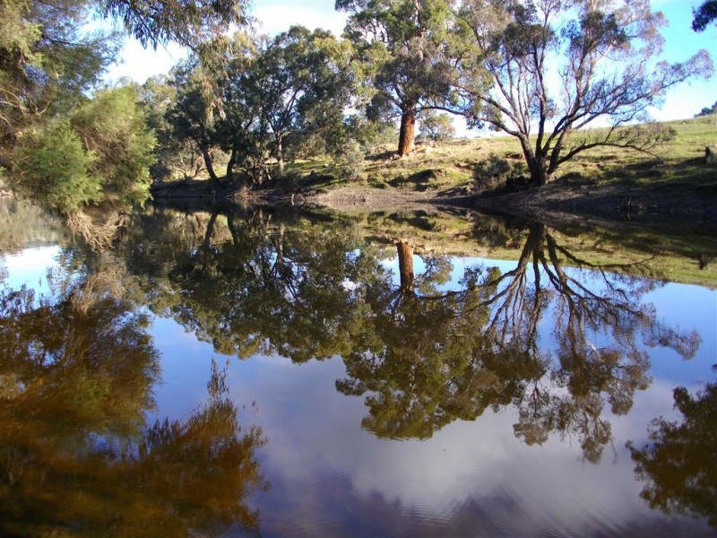 733 WINNEJUP RD, Mayanup WA 6244