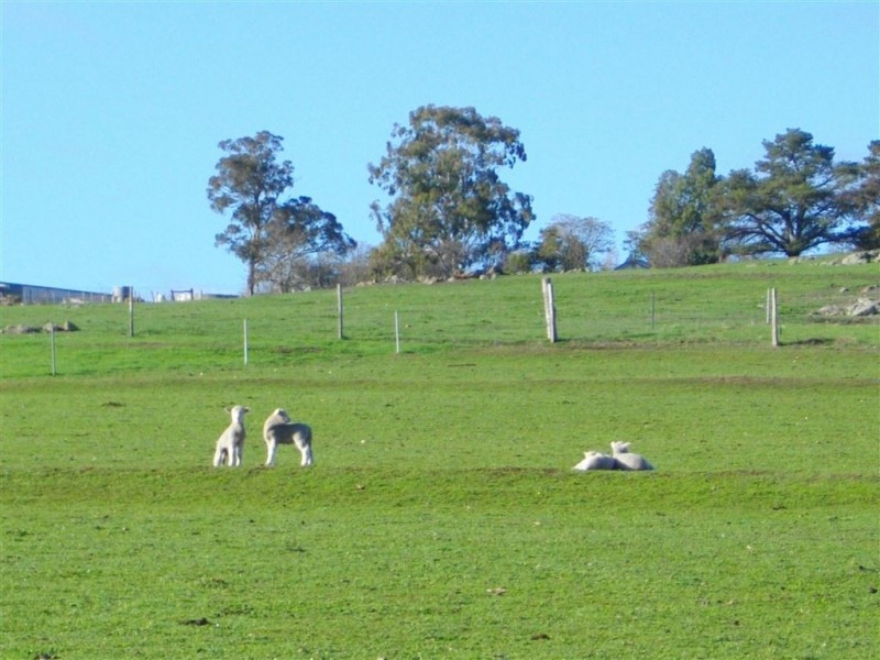 733 WINNEJUP RD, Mayanup WA 6244