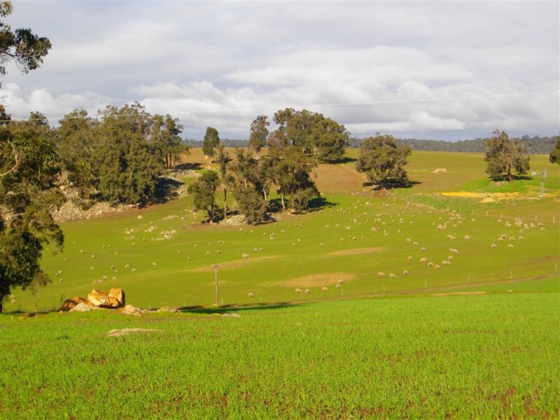 733 WINNEJUP RD, Mayanup WA 6244