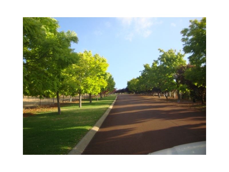 Lot 63 ROBINIA WAY, Bridgetown WA 6255