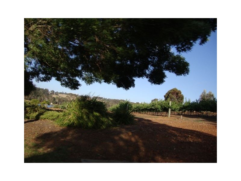 Lot 63 ROBINIA WAY, Bridgetown WA 6255