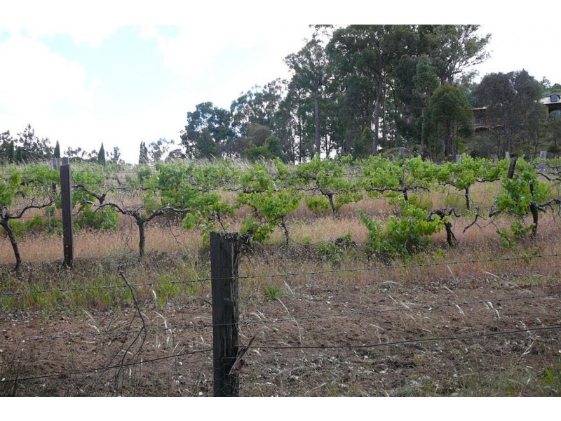 L9999 NELSON STREET, Bridgetown WA 6255