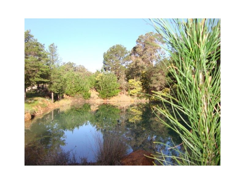 13523 BLACKWOOD RD, Greenbushes WA 6254