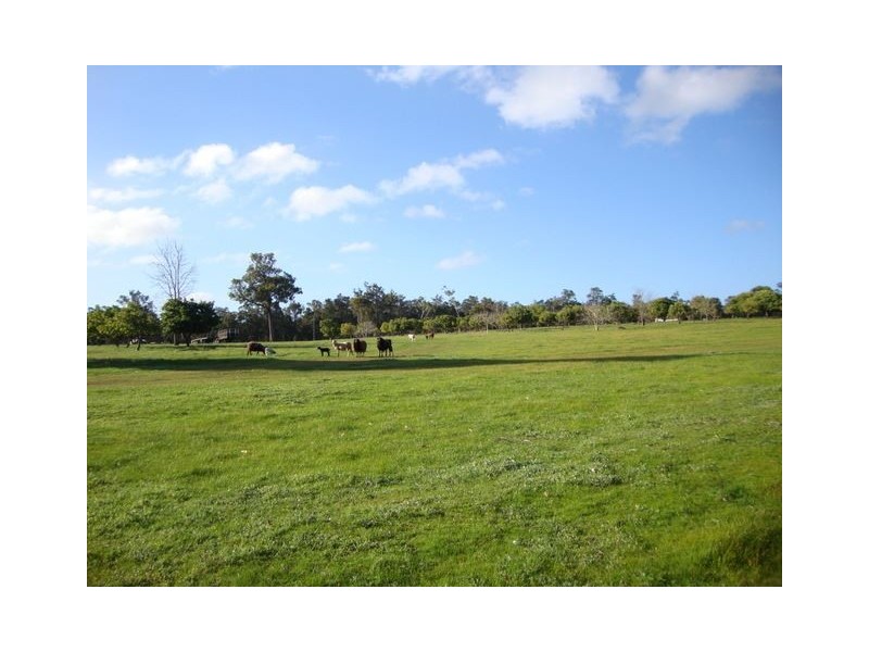 13523 BLACKWOOD RD, Greenbushes WA 6254