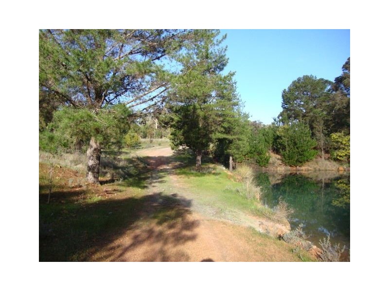 13523 BLACKWOOD RD, Greenbushes WA 6254