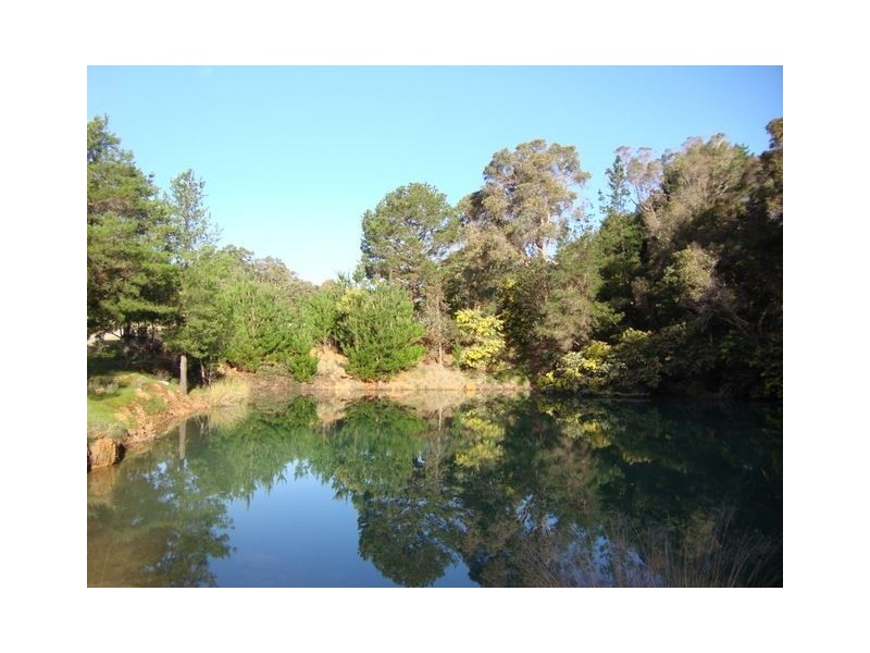 13523 BLACKWOOD RD, Greenbushes WA 6254