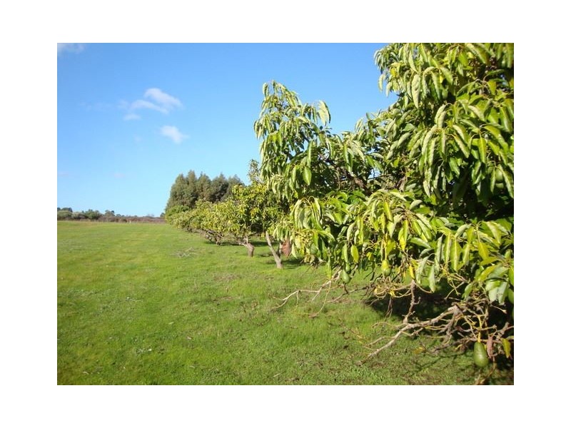 13523 BLACKWOOD RD, Greenbushes WA 6254