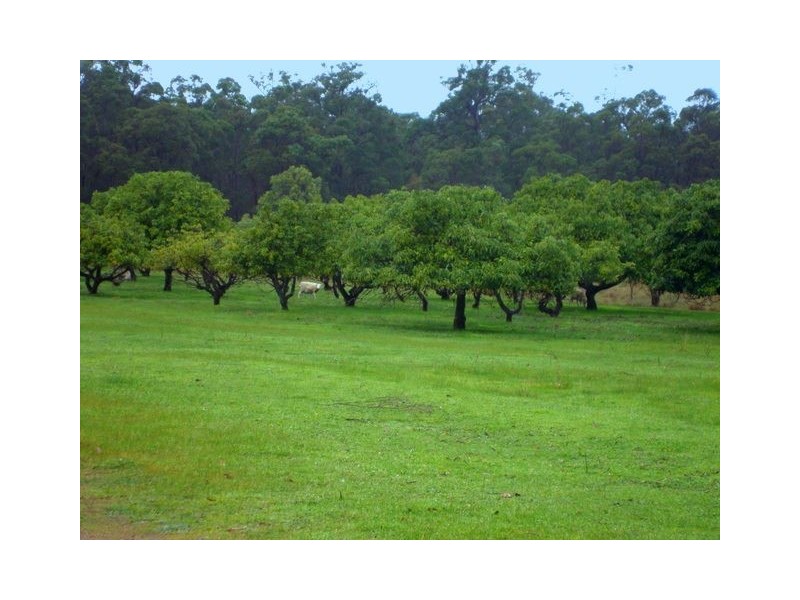 13523 BLACKWOOD RD, Greenbushes WA 6254