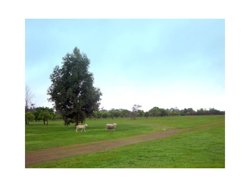 13523 BLACKWOOD RD, Greenbushes WA 6254