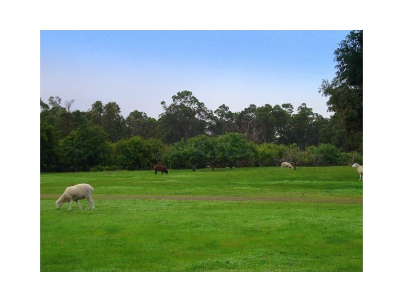 13523 BLACKWOOD RD, Greenbushes WA 6254