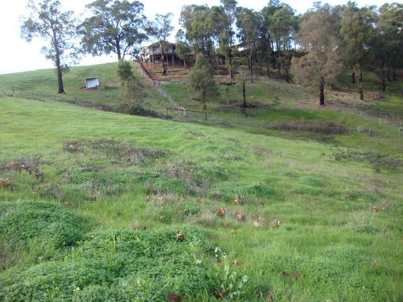 5 Riverview Close, Bridgetown WA 6255