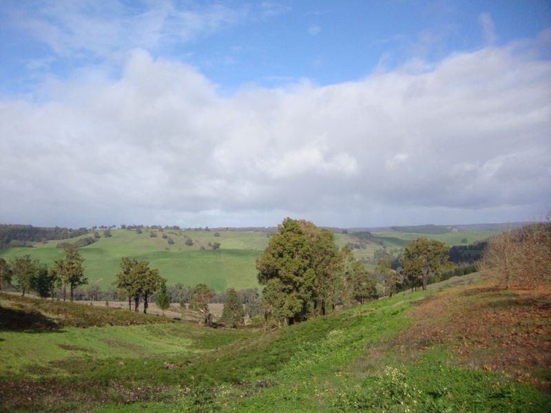 5 Riverview Close, Bridgetown WA 6255