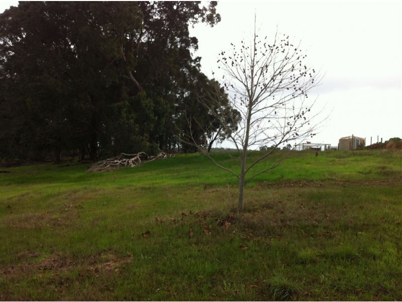 16 SKYE LANE, Bridgetown WA 6255