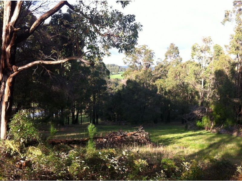 19 MANOR RIDGE, Bridgetown WA 6255