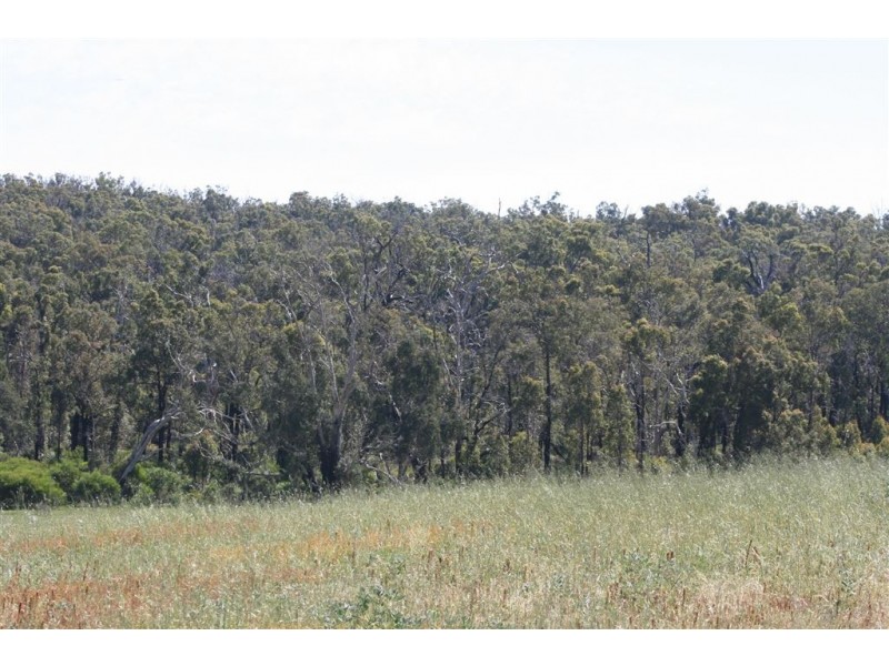 Lot 298 STIRLING STREET, Bridgetown WA 6255