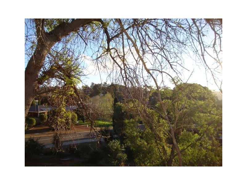 13 TURNER ROAD, Bridgetown WA 6255