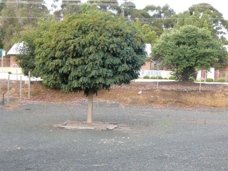 16 Bunbury Street, Bridgetown WA 6255