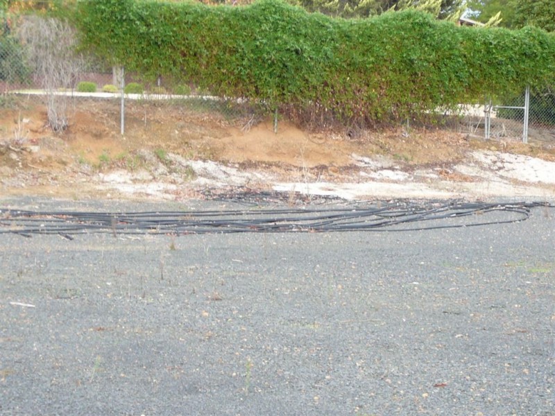 16 Bunbury Street, Bridgetown WA 6255