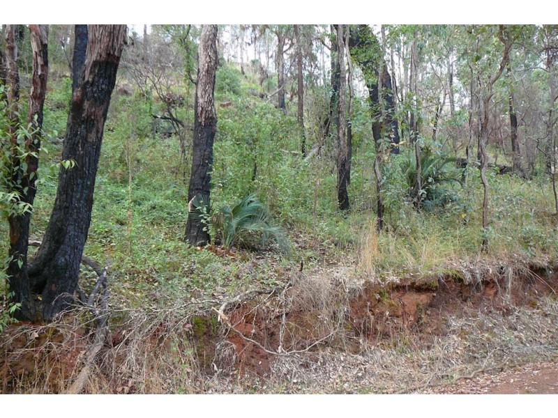 927 KING ROAD, Balingup WA 6253