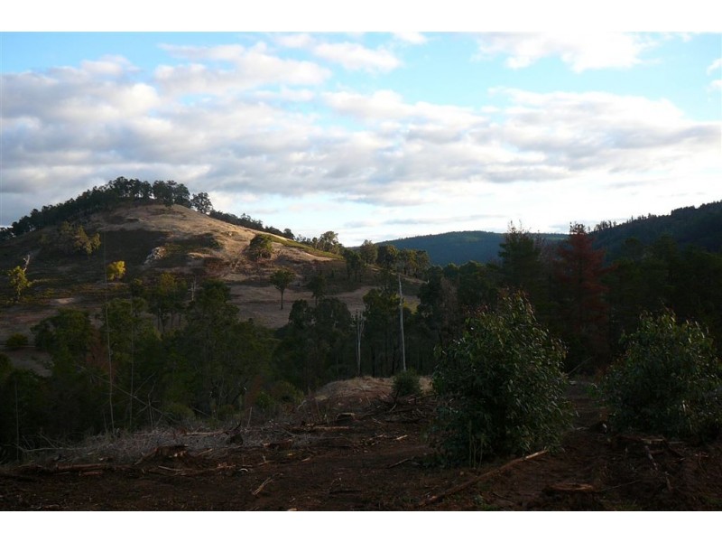 927 KING ROAD, Balingup WA 6253