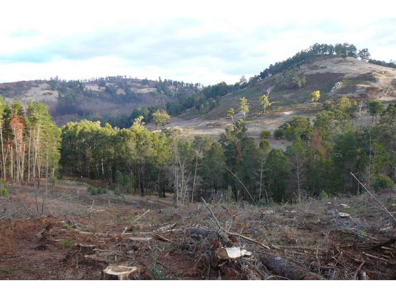 927 KING ROAD, Balingup WA 6253
