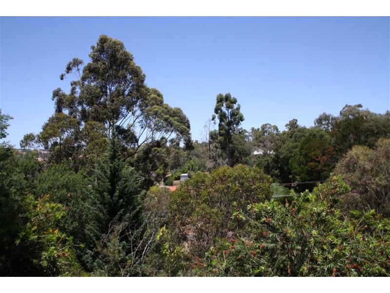 20 LOFTIE STREET, Bridgetown WA 6255