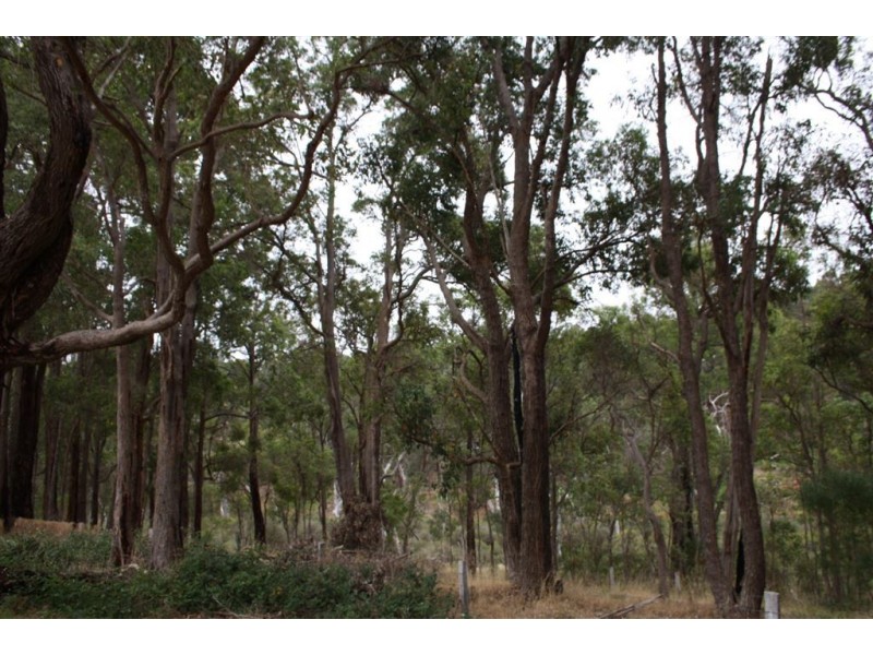 117 RIVER ROAD, Bridgetown WA 6255