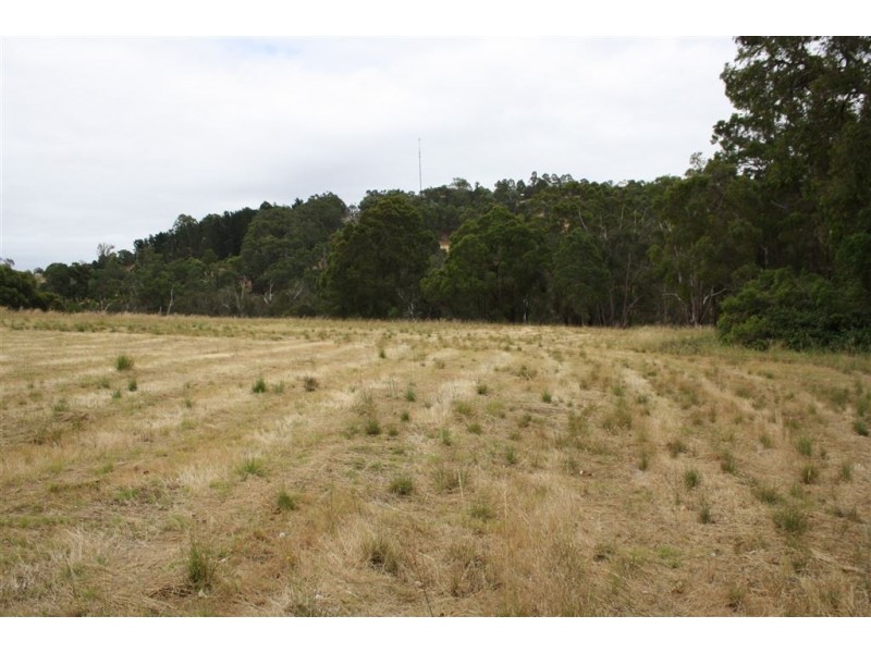 117 RIVER ROAD, Bridgetown WA 6255