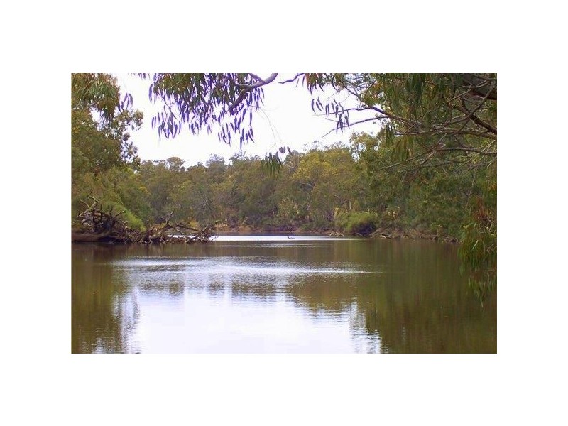 17 Winnejup Road, Bridgetown WA 6255