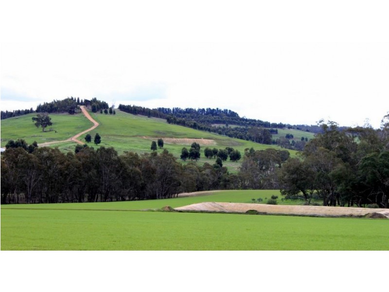 17 Winnejup Road, Bridgetown WA 6255