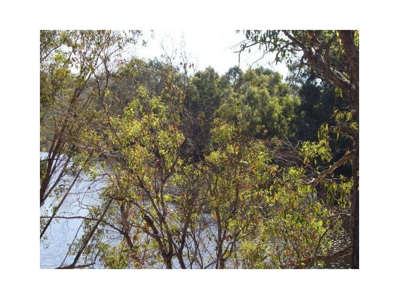 17 Winnejup Road, Bridgetown WA 6255