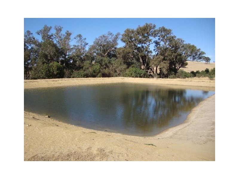 17 Winnejup Road, Bridgetown WA 6255