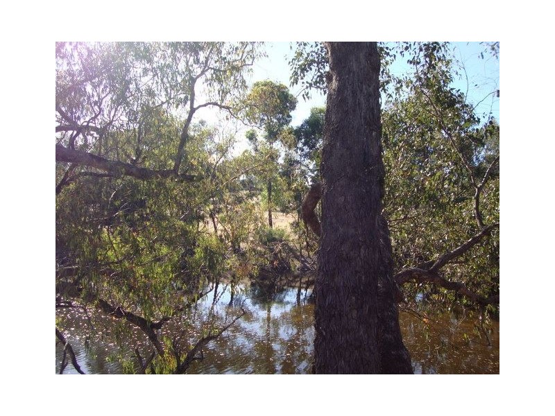 17 Winnejup Road, Bridgetown WA 6255