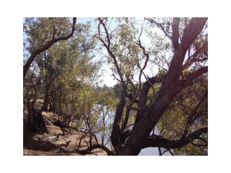 17 Winnejup Road, Bridgetown WA 6255