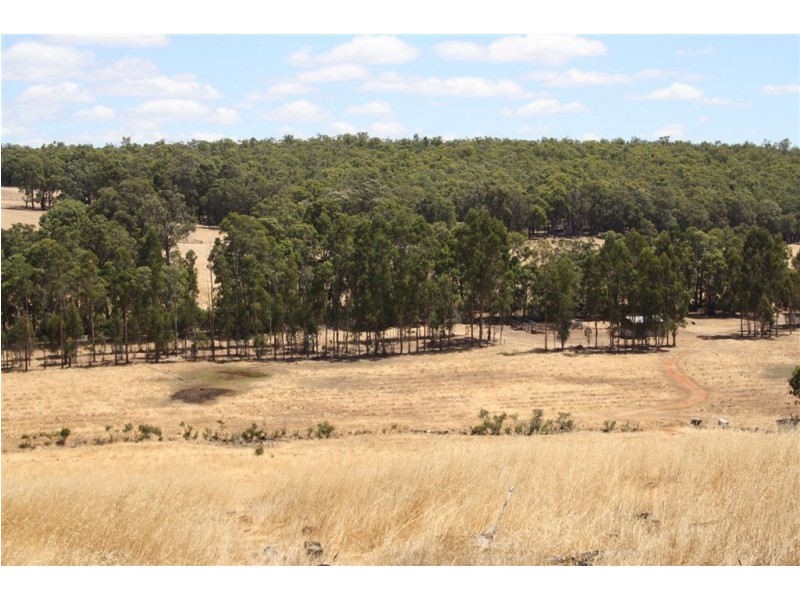 1511 NAYLOR YATES RD, Bridgetown WA 6255