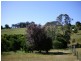 Lot 107 Bramley Place, Bridgetown WA 6255