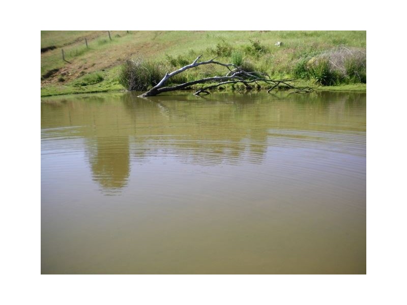 Lot 107 Bramley Place, Bridgetown WA 6255