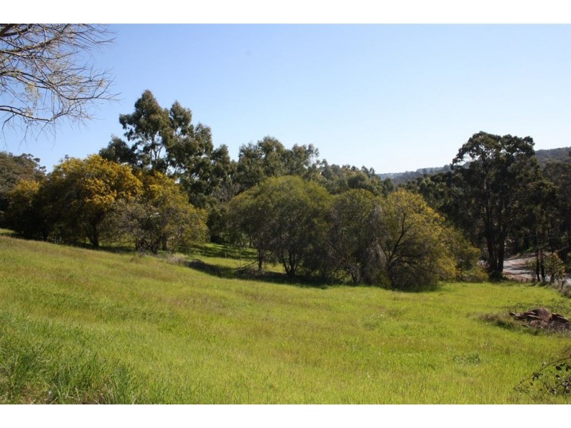 Lot 25 ROE STREET, Bridgetown WA 6255