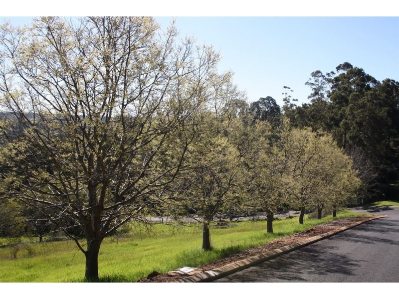 Lot 25 ROE STREET, Bridgetown WA 6255